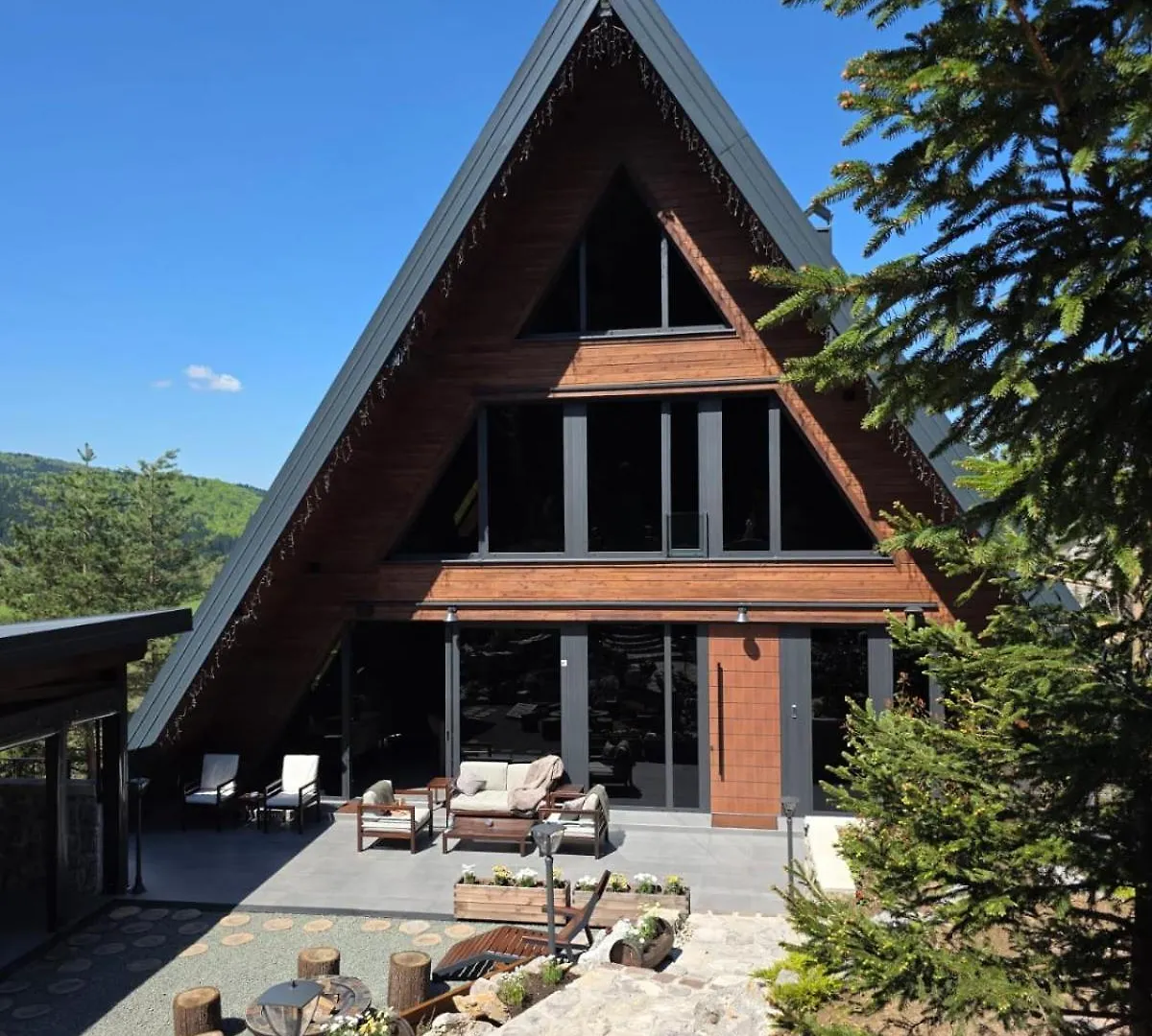 Forest Hill رافنا غورا